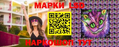 гидропоника Краснокаменск