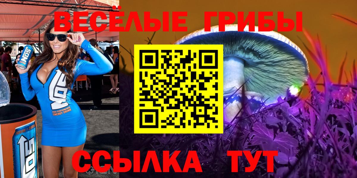 Псилоцибиновые грибы MAGIC MUSHROOMS  Галлюциногенные грибы прущие грибы  Киселёвск  Вход с VPN 